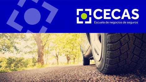 Seminario formativo de Club Cecas